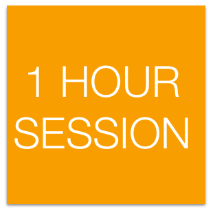 1 hour session